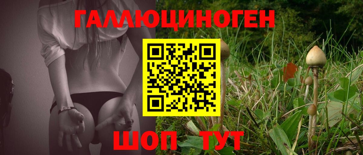 Псилоцибиновые грибы MAGIC MUSHROOMS Борисоглебск